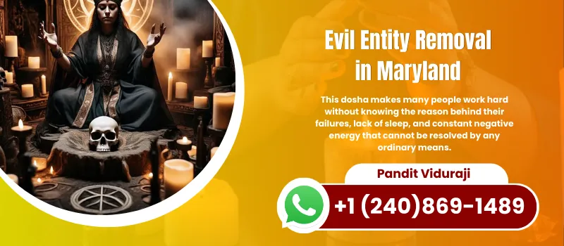 Powerful Evil Spirit Removal in Maryland United States , Astrologer Viduraji