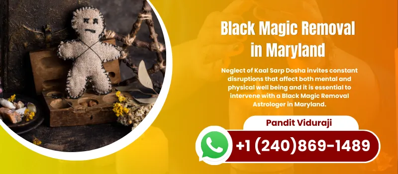 Powerful Black Magic Removal in Maryland United States , Astrologer Viduraji